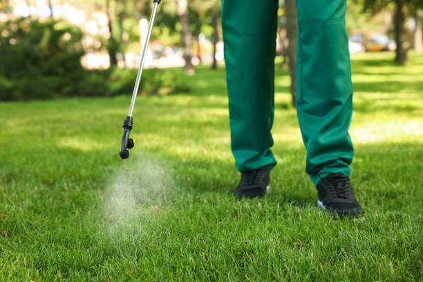 Wasp Removal Services in Kittanning, PA