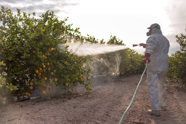 Trusted Kittanning, PA Pest Control Experts