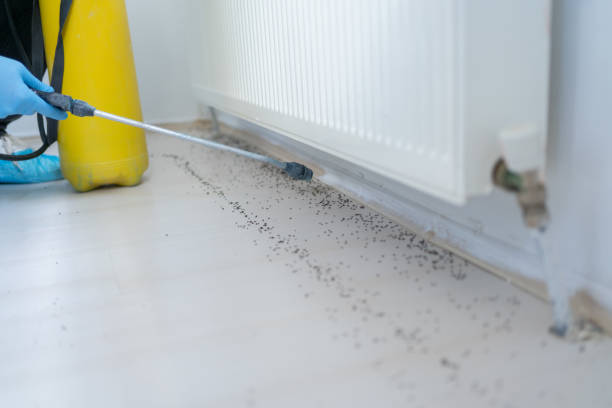 Best Residential Pest Control  in Kittanning, PA