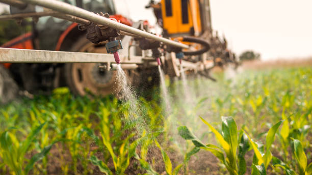 Best Pest Control for Homes  in Kittanning, PA